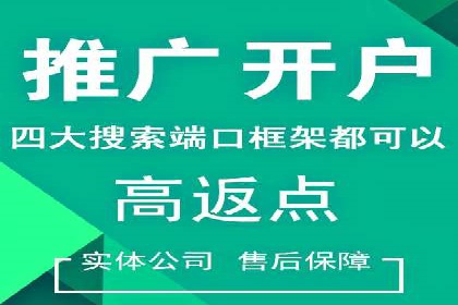 谷歌竞价广告在电商行业的运用案例